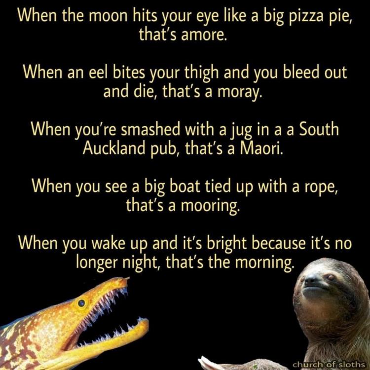 82C0E7A6-1E1C-4422-B009-166C630C1066.jpeg