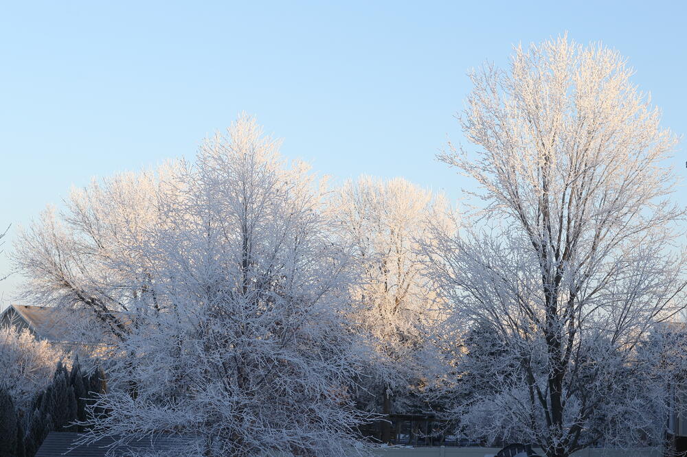 2021_01_03EOS-1D X4954.JPG