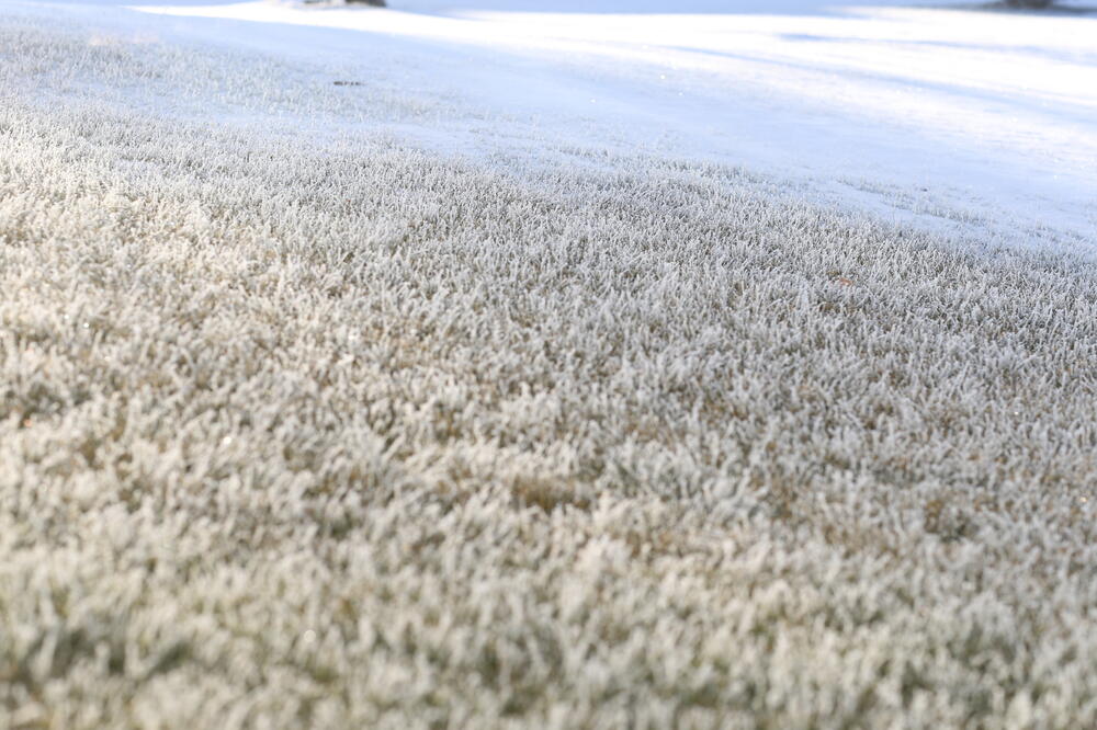 2021_01_03EOS-1D X4955.JPG