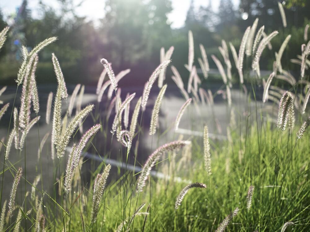 44BE9432 1-topaz-enhance-1.8x-sharpen 1.jpeg