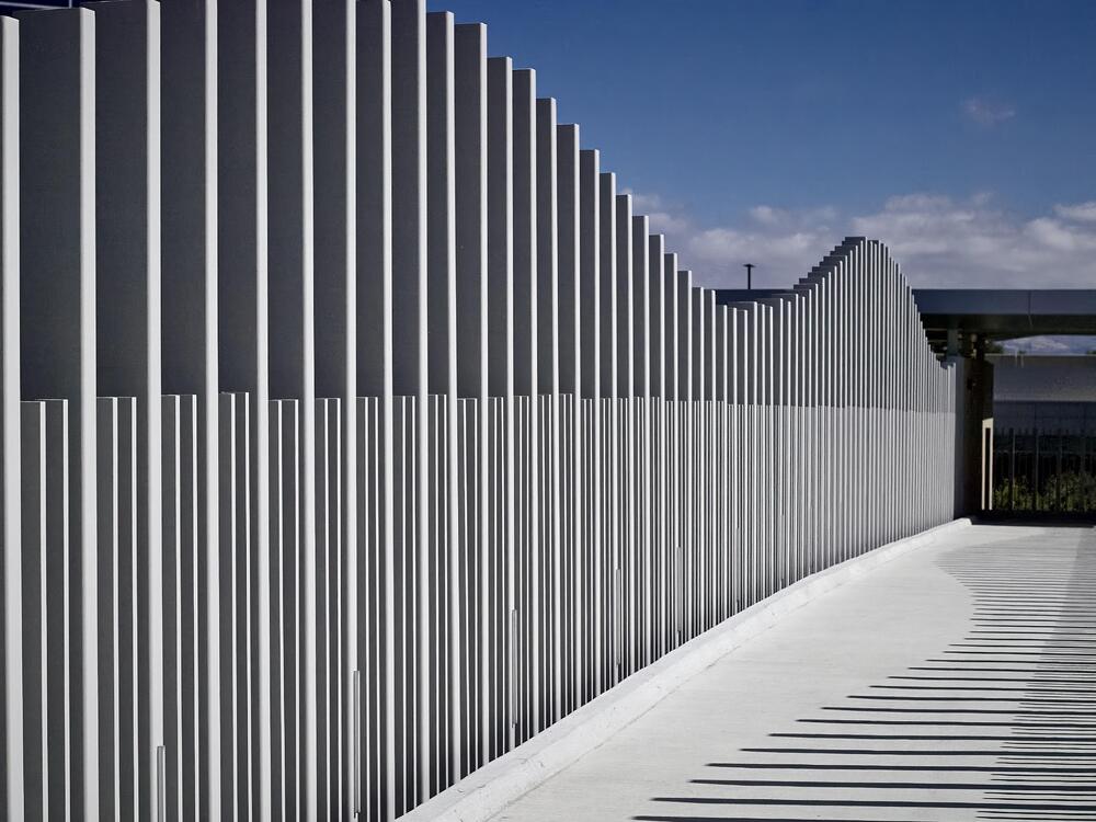 44BE9503 1-topaz-enhance-1.9x.jpeg