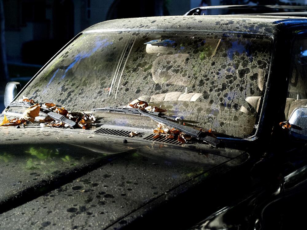 44BE9520 1-topaz-enhance-1.8x-exposure-sharpen.jpeg