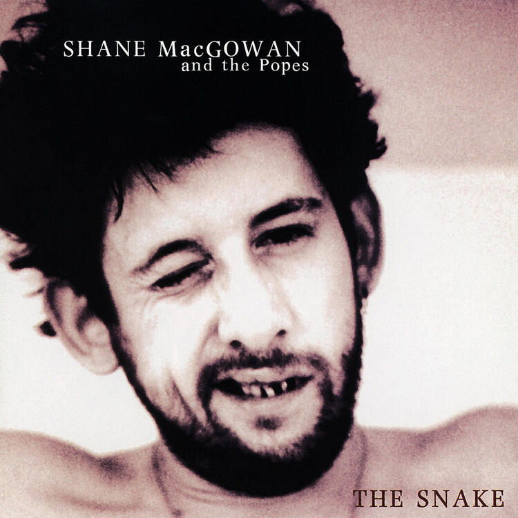 shanemacgowanandthep_thesnake_amj6.jpg