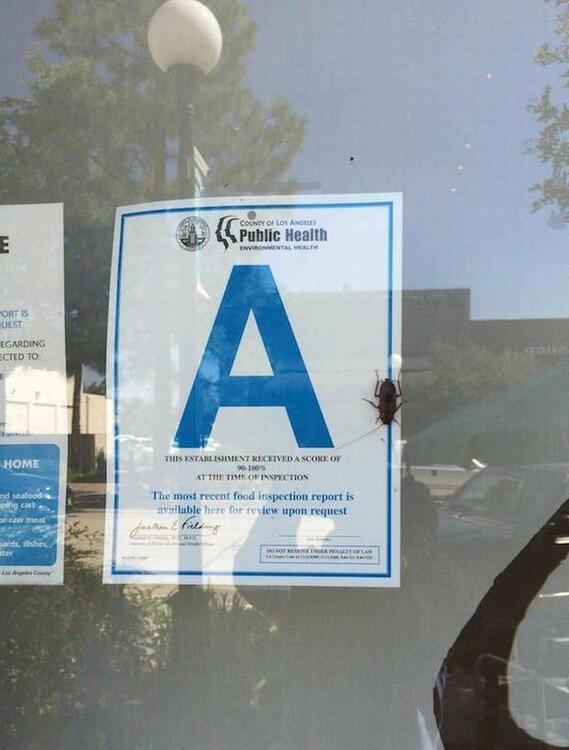 Great health Inspector NOT.jpg