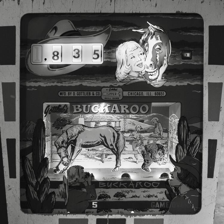 L1004661-topaz-faceai-sharpen 2.jpeg