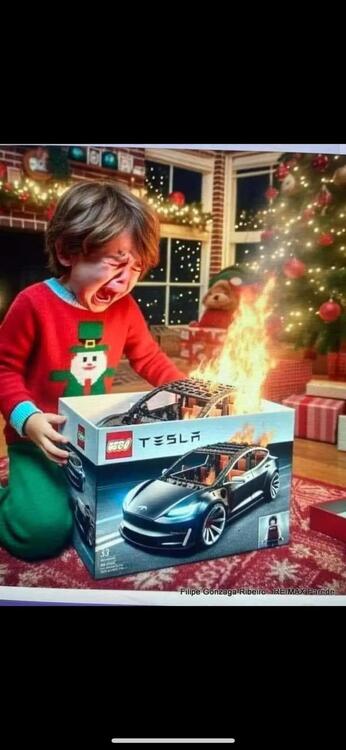 Tesla Xmas Gift.JPG