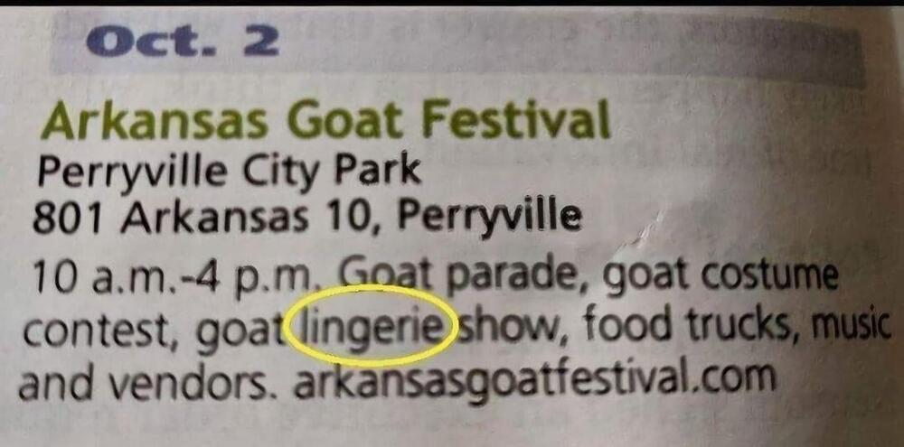 Goat Lingerie Show.jpg