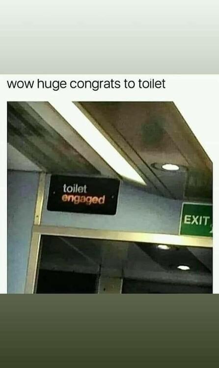 Congrats Toilet.JPG