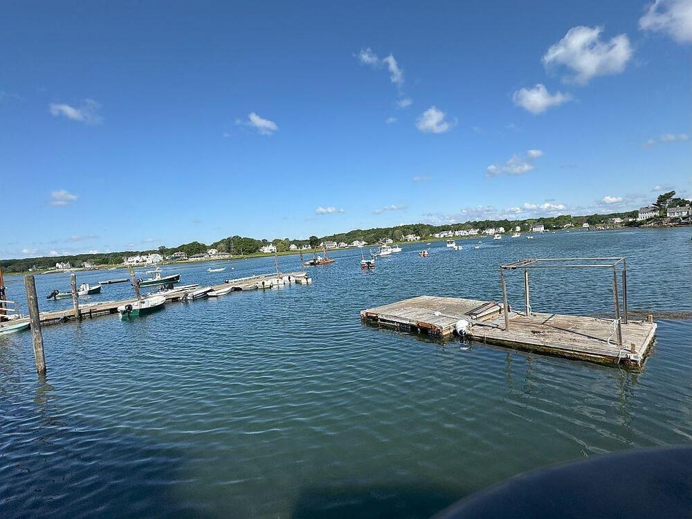 Cape Porpoise 4-Jul-2025.jpg