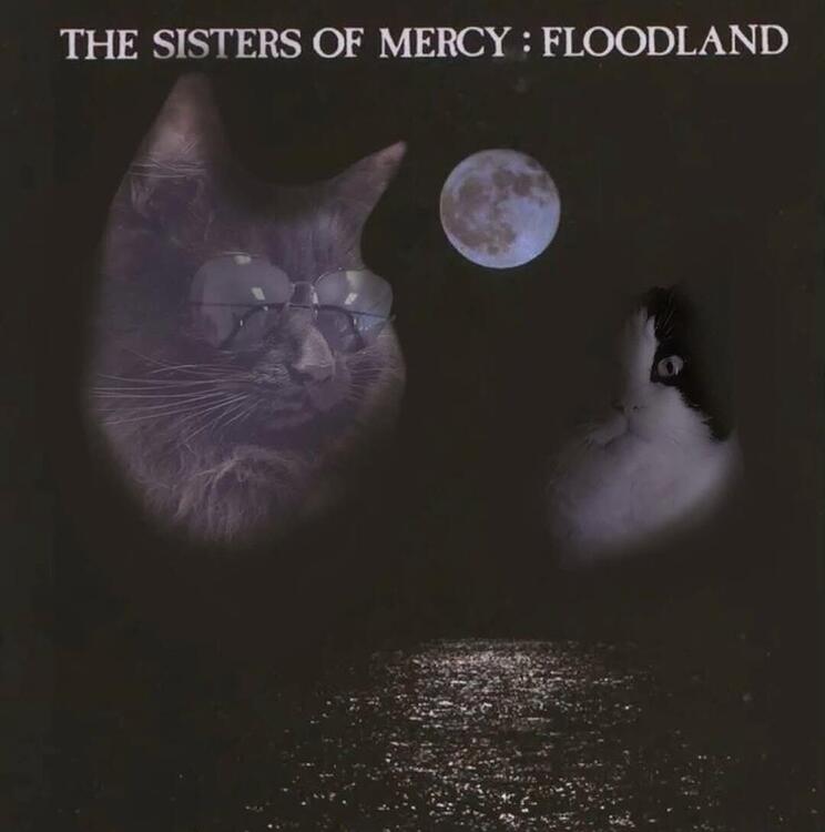 Cat LP Covers 2.jpg
