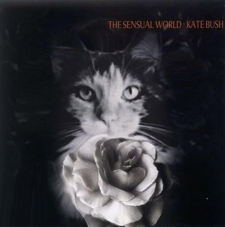 Cat LP Covers 9.jpg