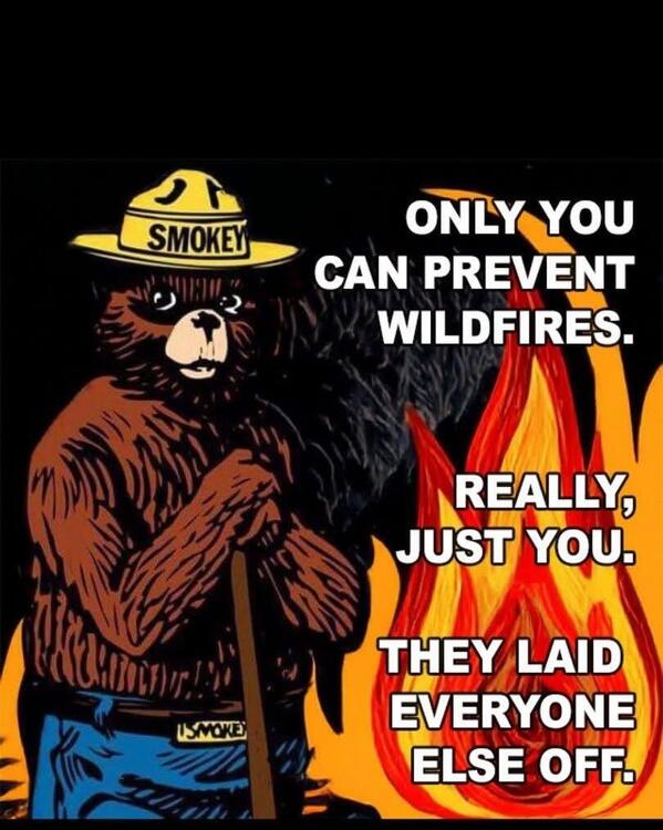 Only You Can Prevent Forest Fires.JPG