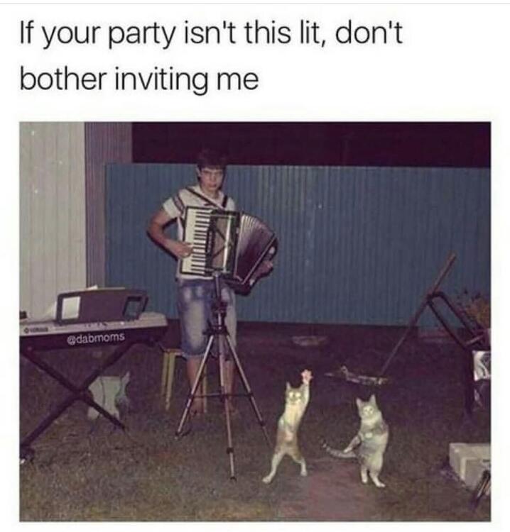 Best Party Ever.JPG