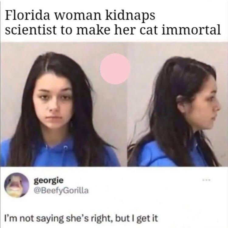 Quest for Catmortality.JPG